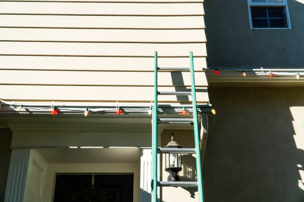 Best Composite Siding  in Frankfort, MI