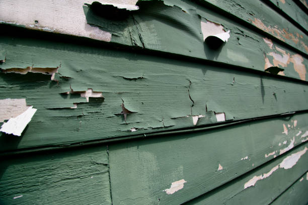 Best Historical Building Siding Restoration  in Frankfort, MI