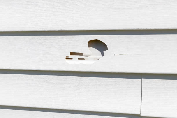 Best Brick Veneer Siding  in Frankfort, MI