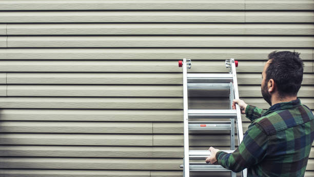 Best Siding Painting and Refinishing  in Frankfort, MI