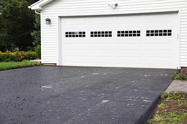 Best Insulated Siding Installation  in Frankfort, MI