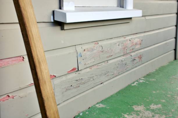 Professional Siding Installation & Repair in Frankfort, MI