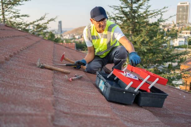 Best Siding Removal and Disposal  in Frankfort, MI