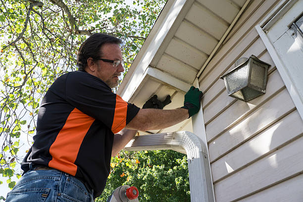 Best Stone Veneer Siding  in Frankfort, MI