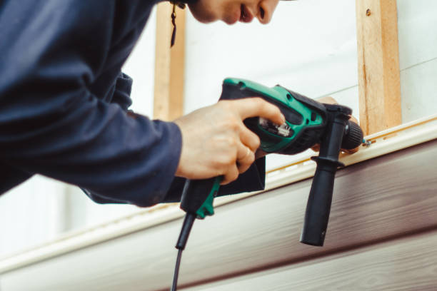 Best Aluminum Siding Installation  in Frankfort, MI